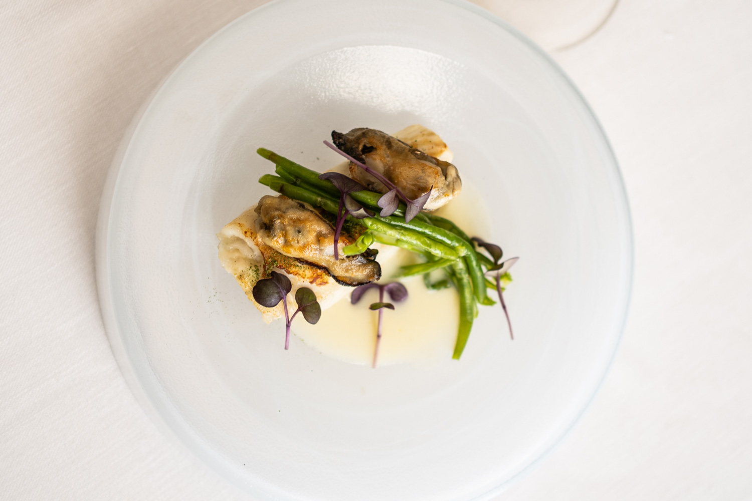 bacco-barletta-tenuta-degli-eruli-1