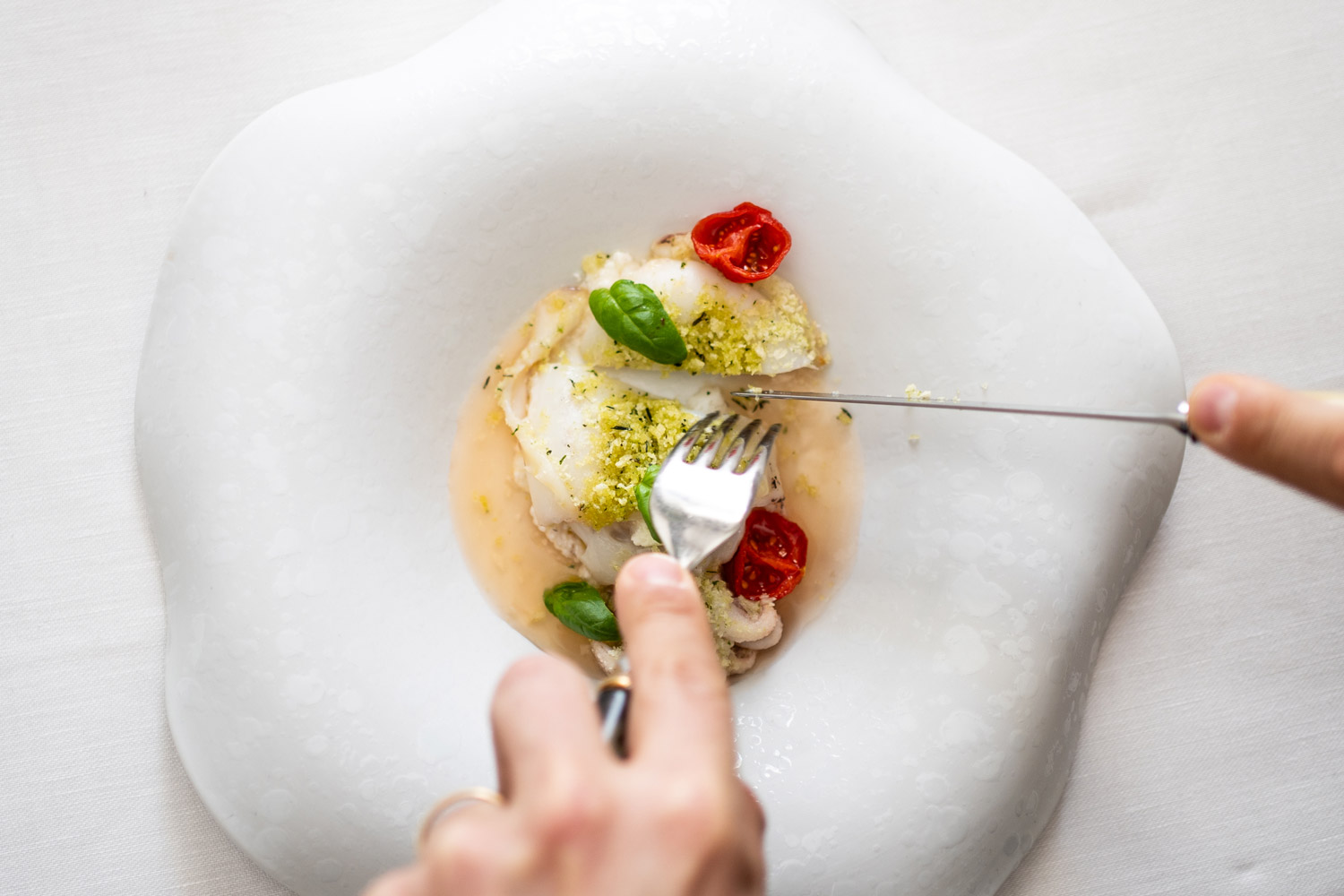 bacco-barletta-tenuta-degli-eruli5